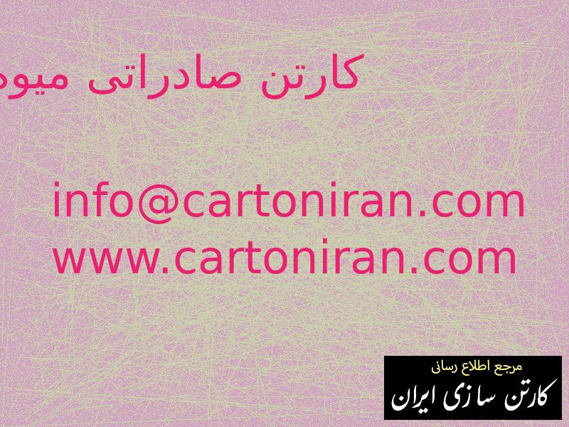 کارتن صادراتی میوه